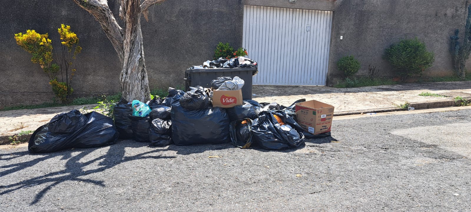 Imagem 2 da denúncia #VS-2026-02653