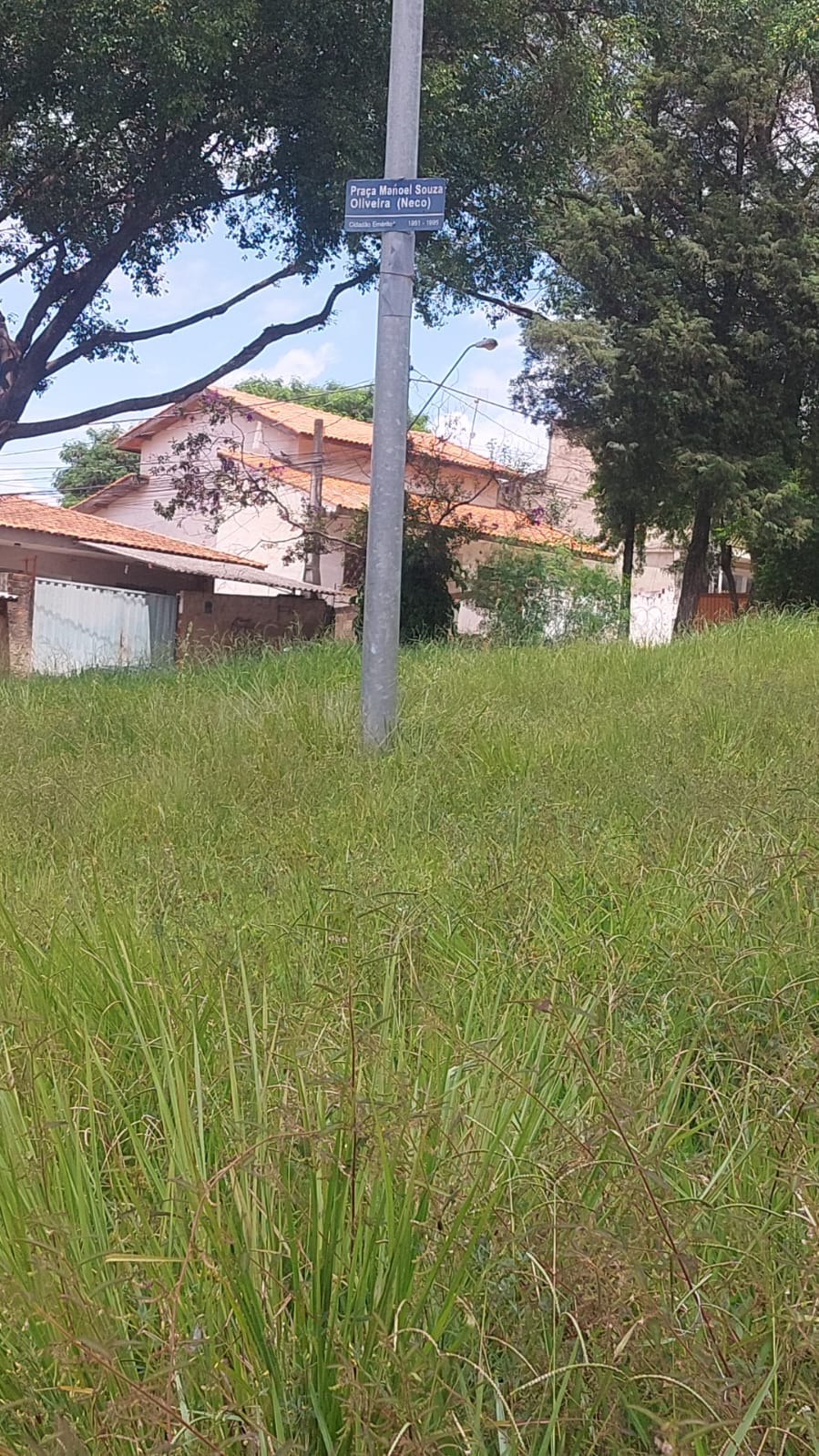 Imagem 2 da denúncia #VS-2026-04163
