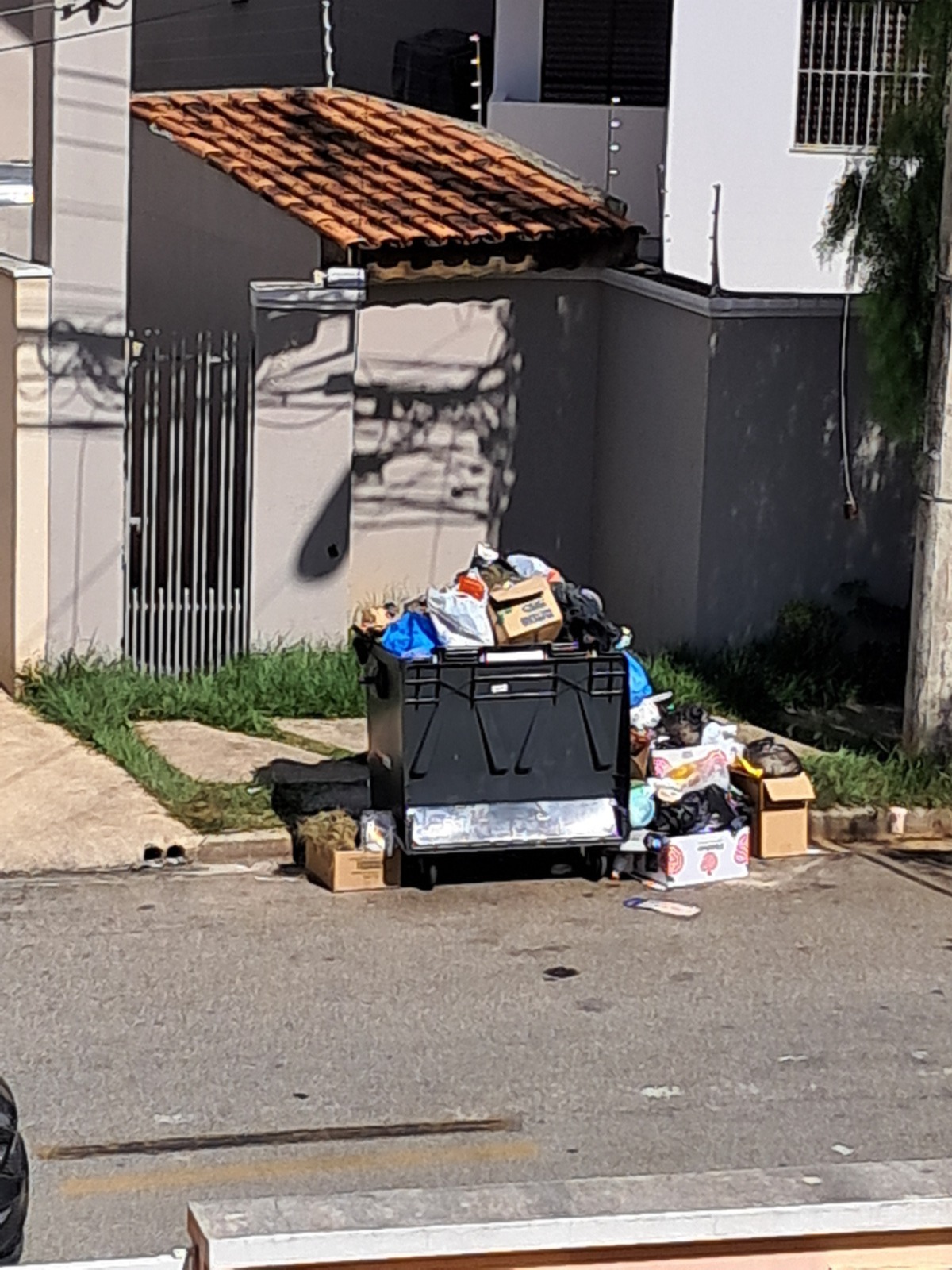 Imagem 1 da denúncia #VS-2026-04435