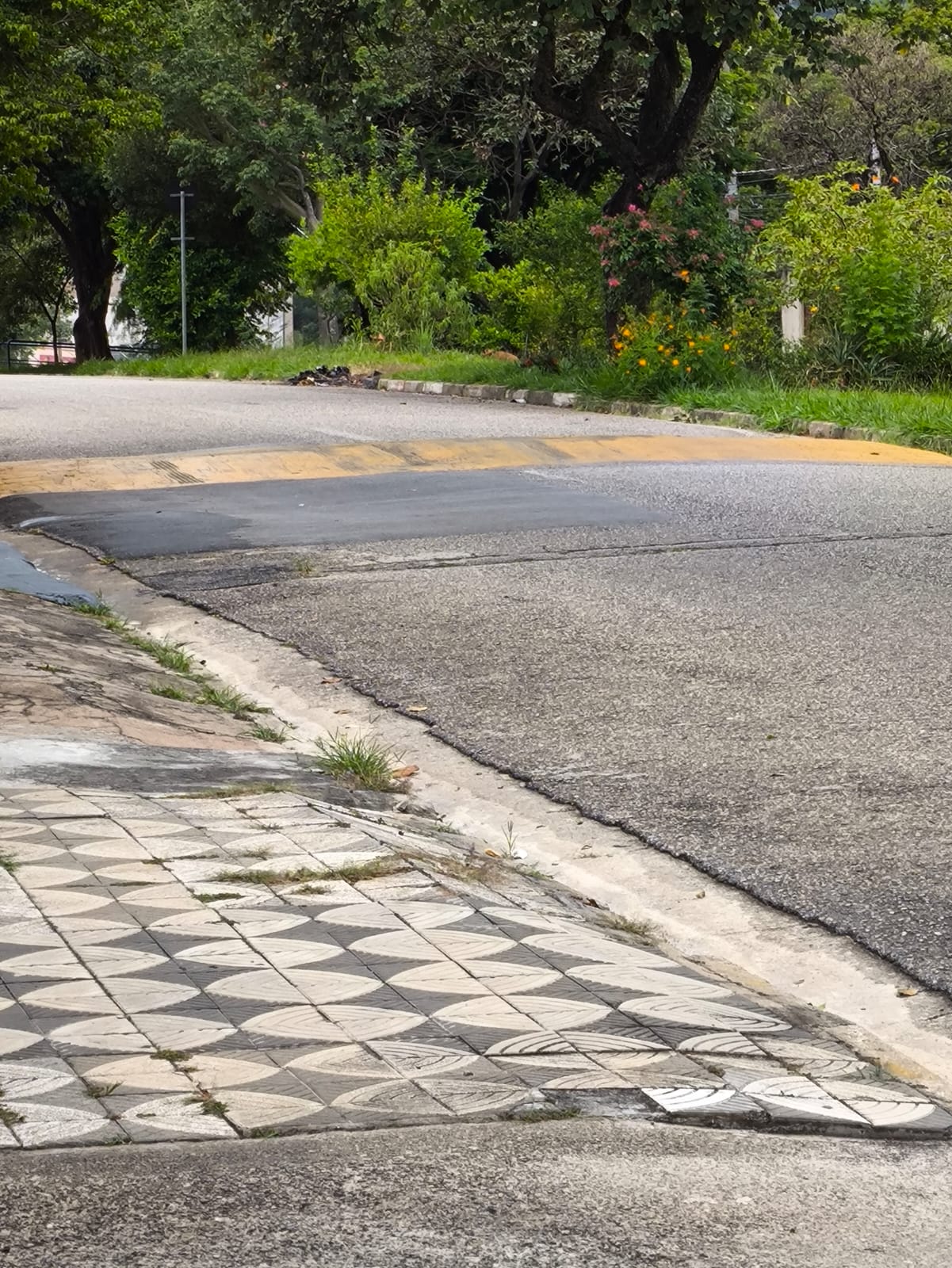 Imagem 1 da denúncia #VS-2026-08892