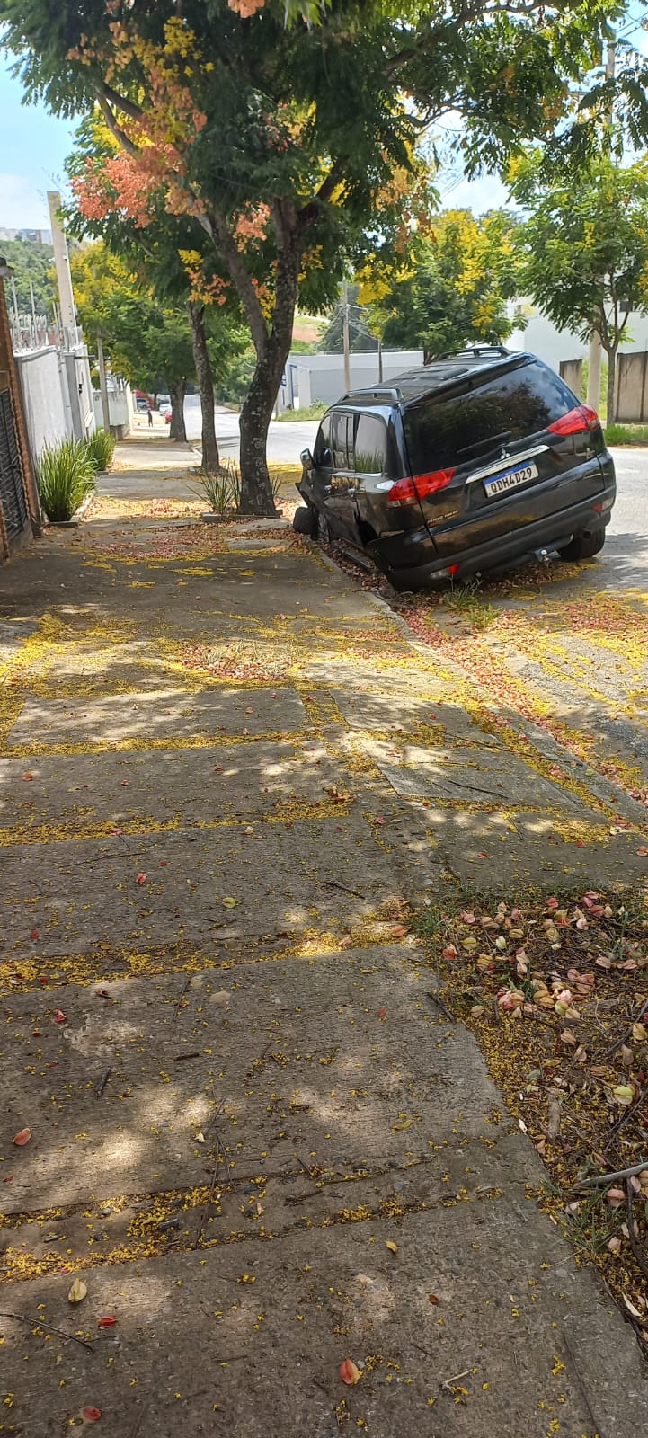 Imagem 3 da denúncia #VS-2026-09529