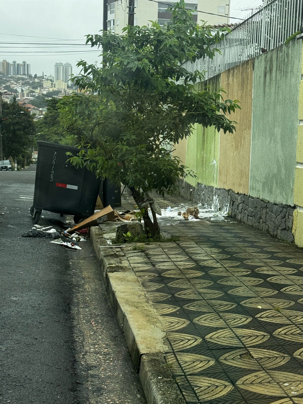Imagem 1 da denúncia #VS-2026-09550