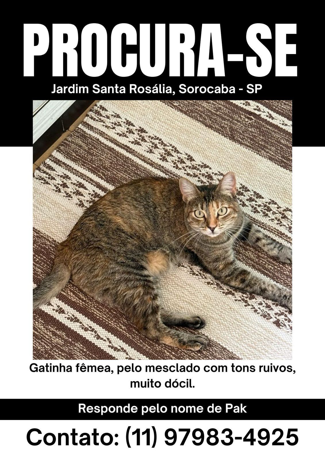 Imagem 2 da denúncia #VS-2026-10500