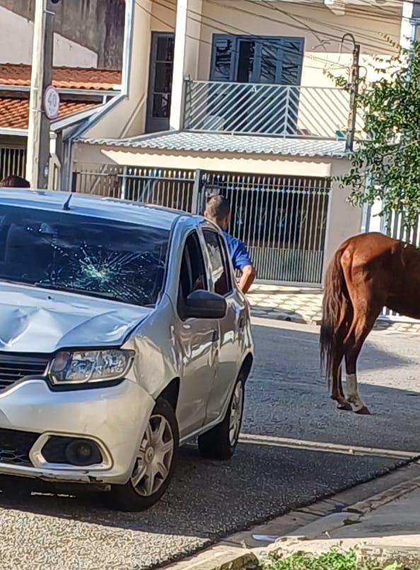Imagem 1 da denúncia #VS-2026-13439