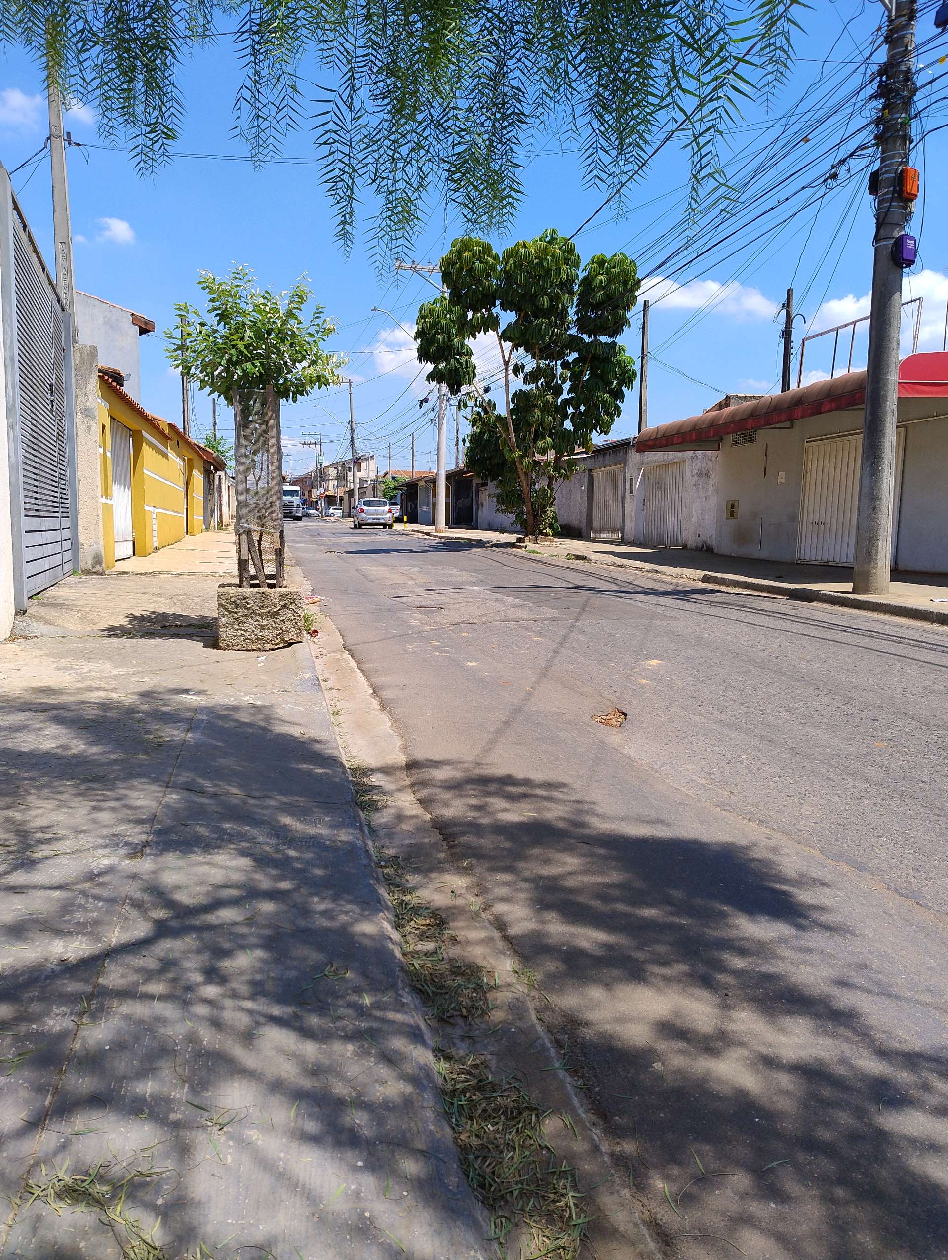 Imagem 1 da denúncia #VS-2026-15147