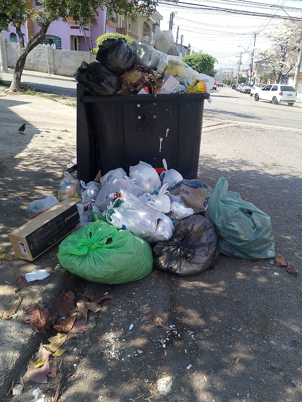 Imagem 1 da denúncia #VS-2026-15678