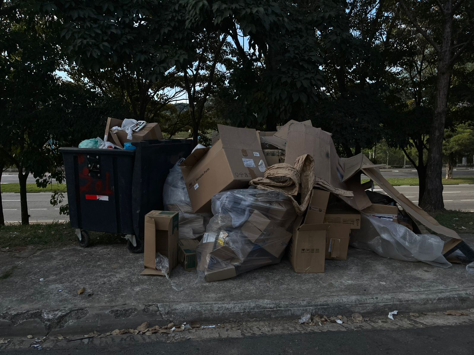 Imagem 1 da denúncia #VS-2026-17512