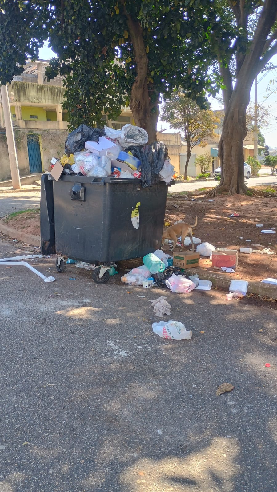 Imagem 1 da denúncia #VS-2026-23345