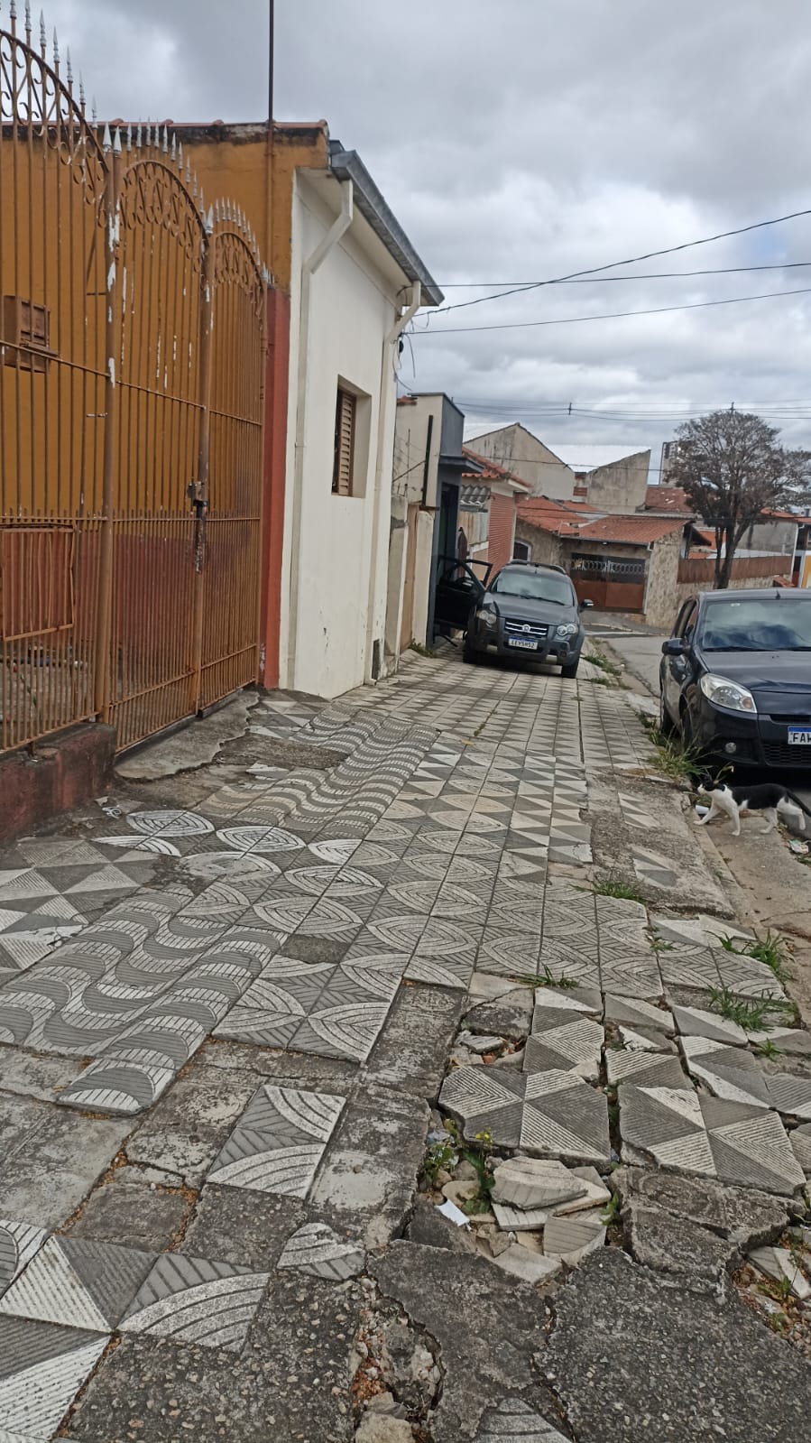 Imagem 2 da denúncia #VS-2026-25167