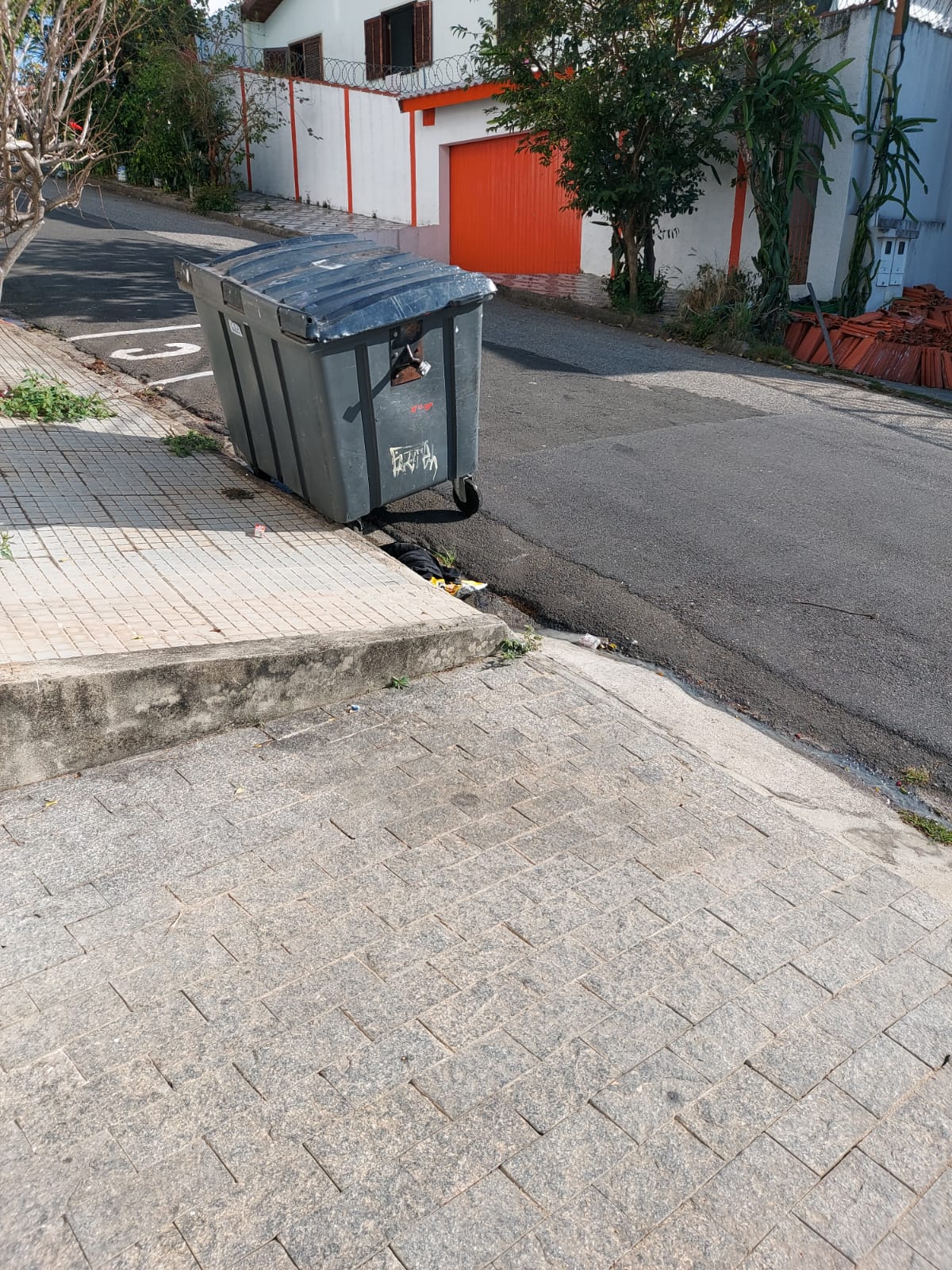 Imagem 2 da denúncia #VS-2026-26730