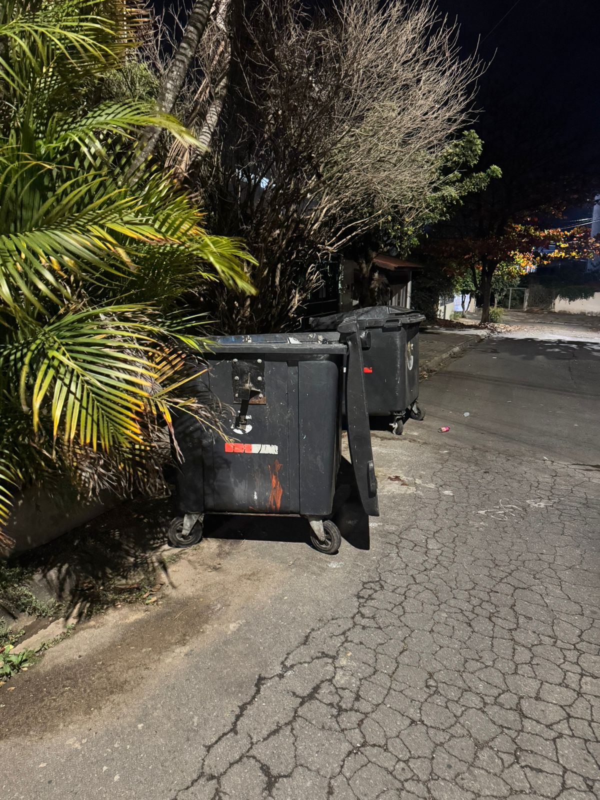 Imagem 2 da denúncia #VS-2026-27481