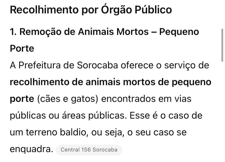 Imagem 2 da denúncia #VS-2026-27796