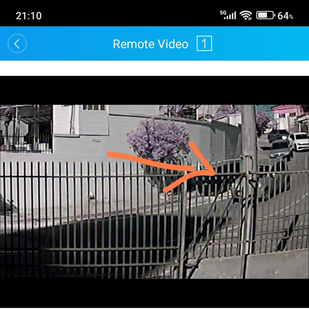 Imagem 1 da denúncia #VS-2026-28567