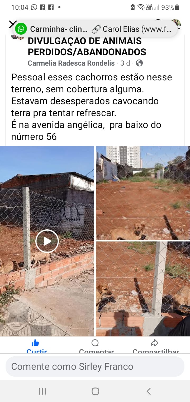 Imagem 2 da denúncia #VS-2026-29006