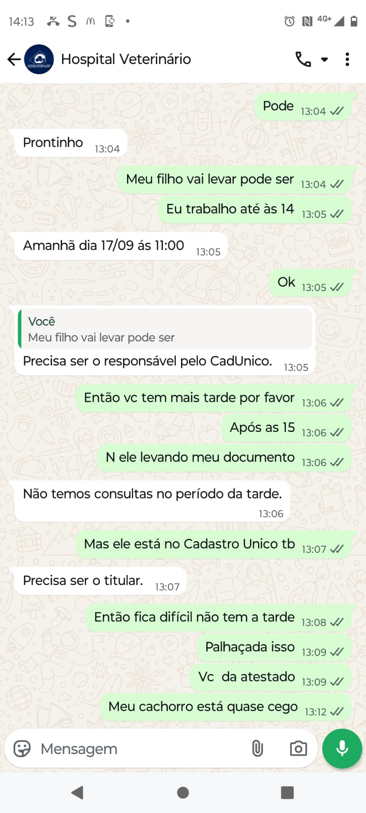 Imagem 1 da denúncia #VS-2026-30419