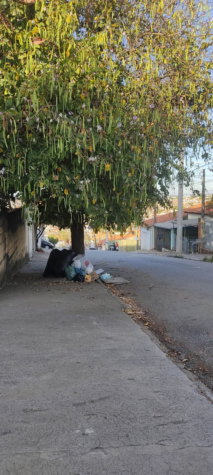 Imagem 1 da denúncia #VS-2026-31147