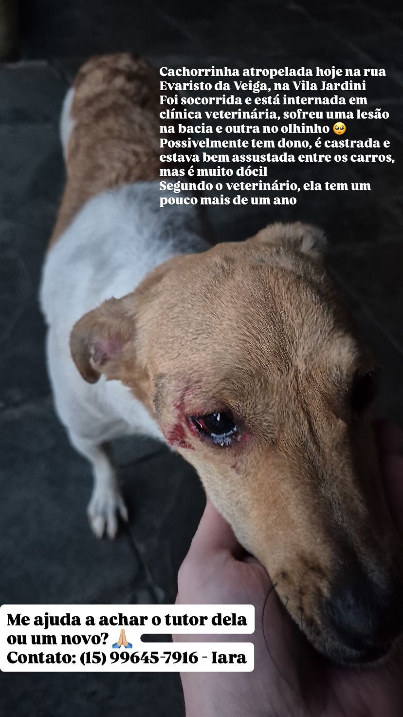 Imagem 1 da denúncia #VS-2026-31534