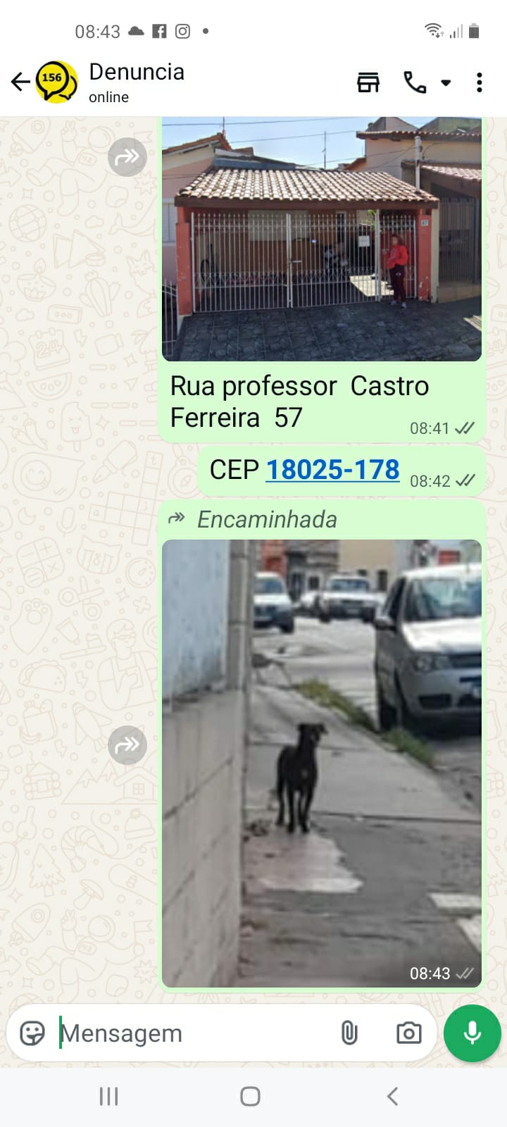 Imagem 1 da denúncia #VS-2026-31763
