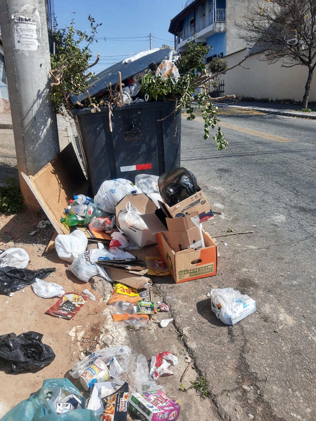 Imagem 1 da denúncia #VS-2026-33239