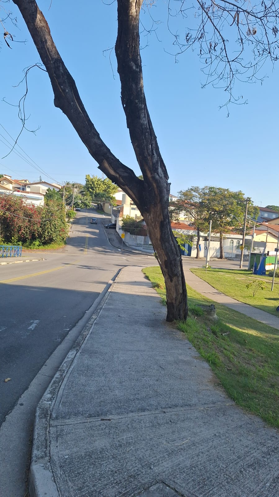 Imagem 7 da denúncia #VS-2026-33674