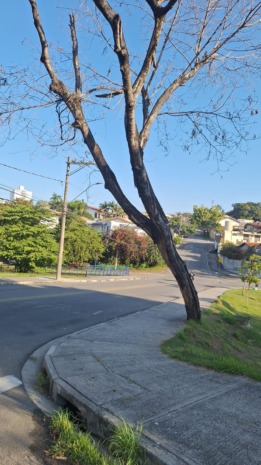 Imagem 6 da denúncia #VS-2026-33674