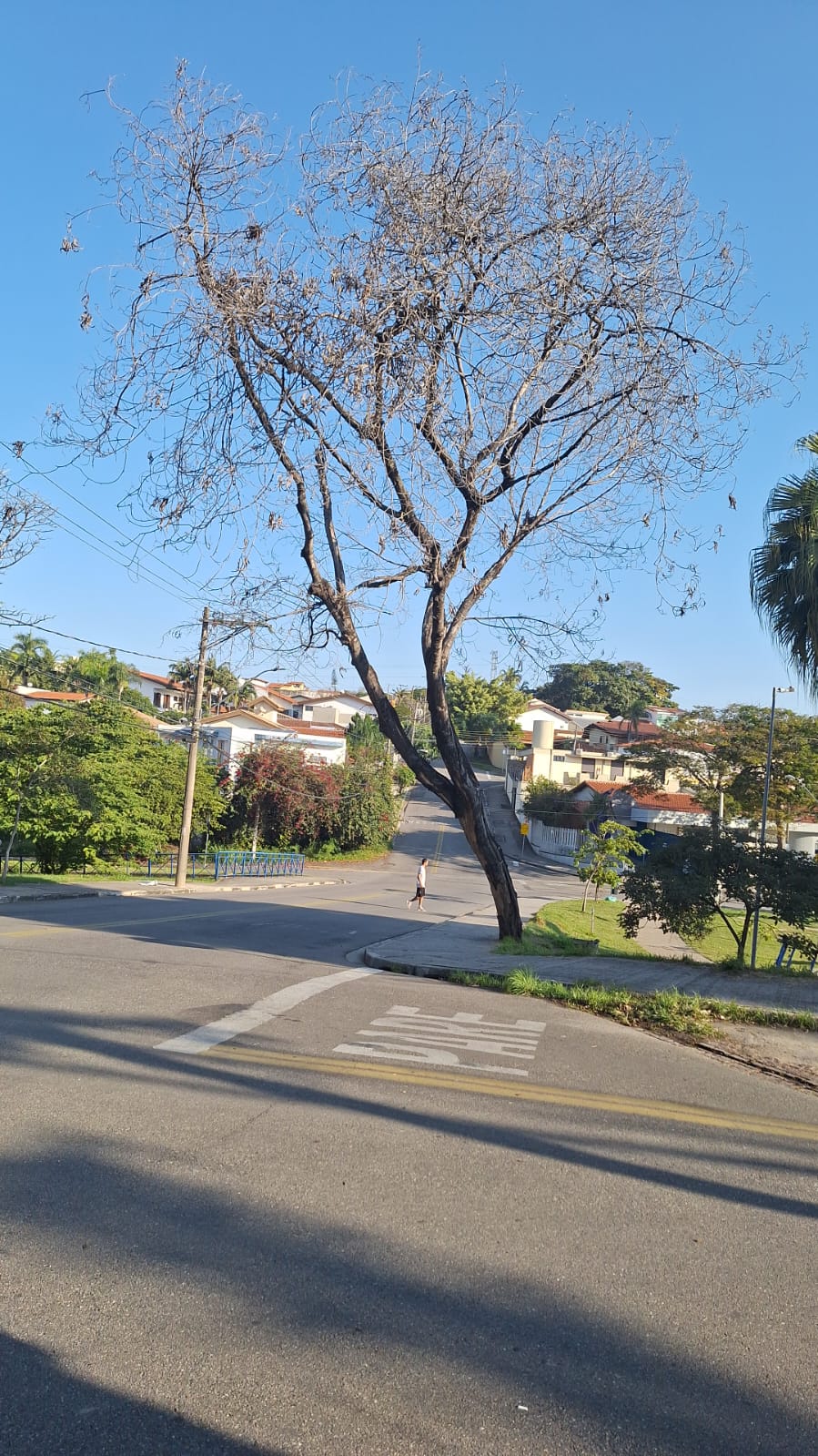 Imagem 5 da denúncia #VS-2026-33674