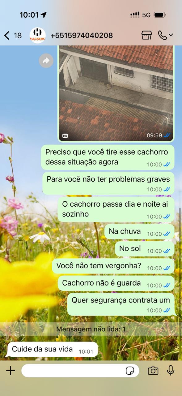 Imagem 1 da denúncia #VS-2026-33829