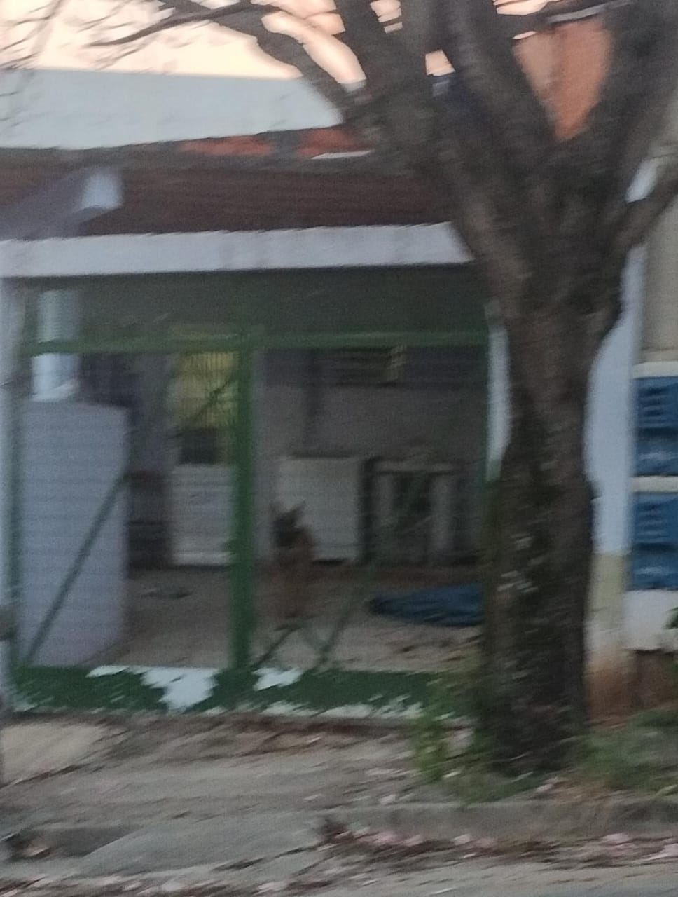 Imagem 2 da denúncia #VS-2026-33878
