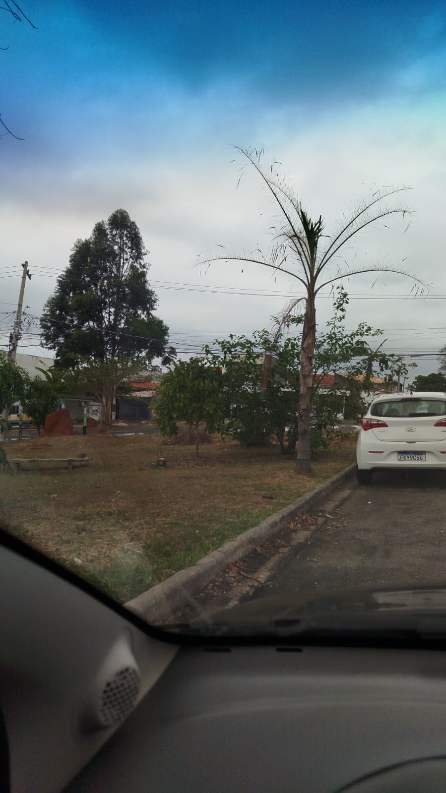 Imagem 2 da denúncia #VS-2026-33968
