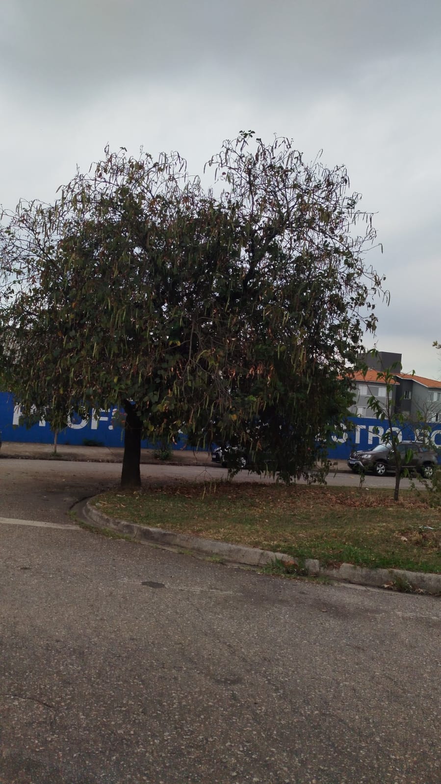 Imagem 3 da denúncia #VS-2026-33968