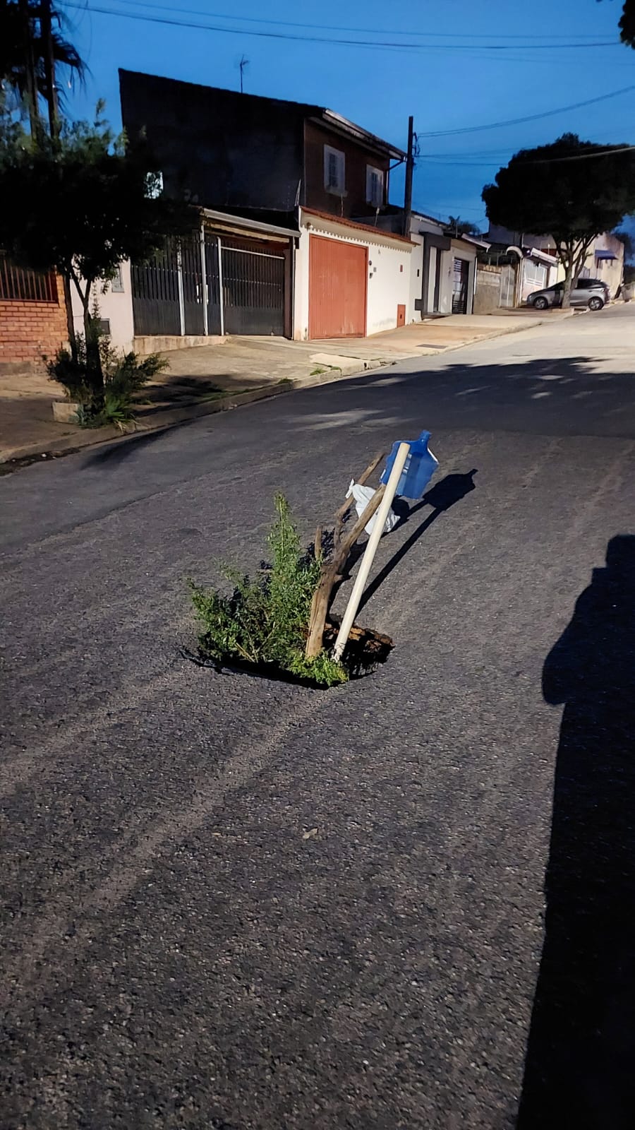 Imagem 2 da denúncia #VS-2026-34766
