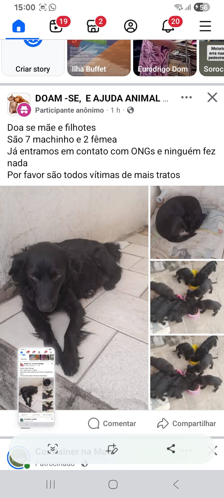 Imagem 1 da denúncia #VS-2026-34984
