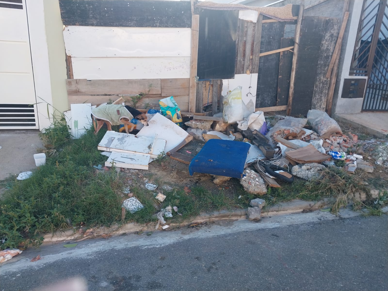 Imagem 1 da denúncia #VS-2026-35421