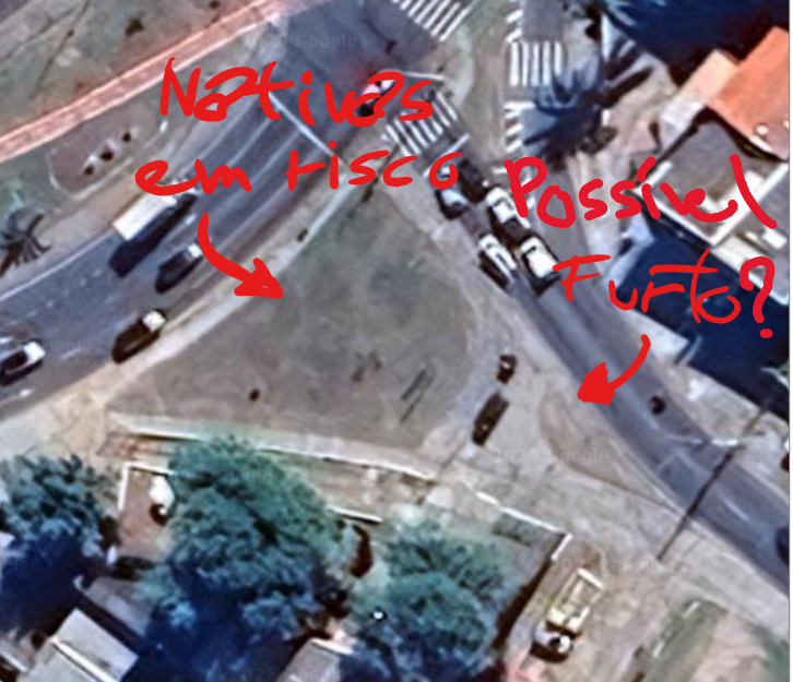 Imagem 2 da denúncia #VS-2026-35612