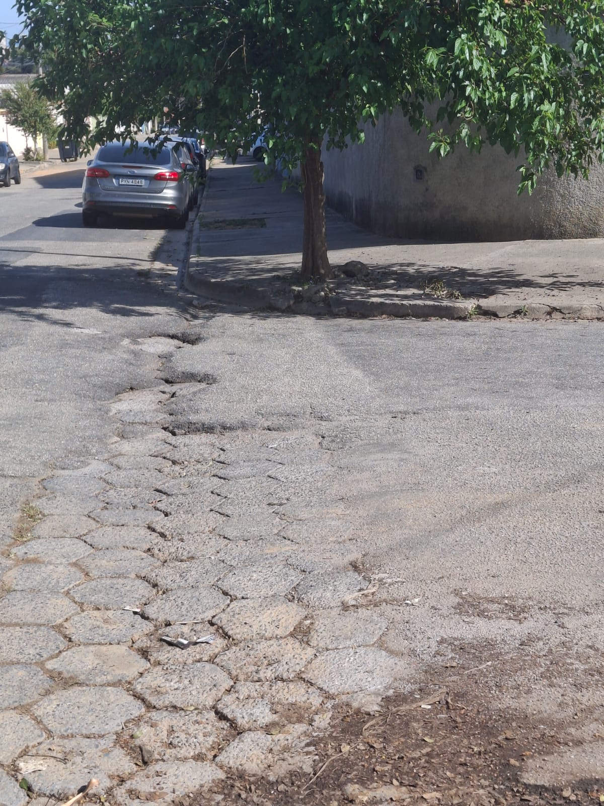 Imagem 3 da denúncia #VS-2026-35775