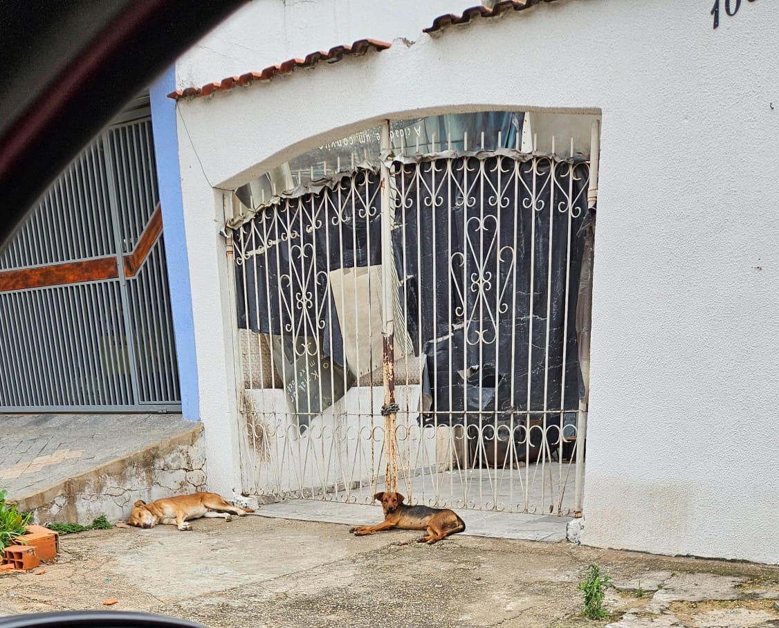 Imagem 1 da denúncia #VS-2026-36510