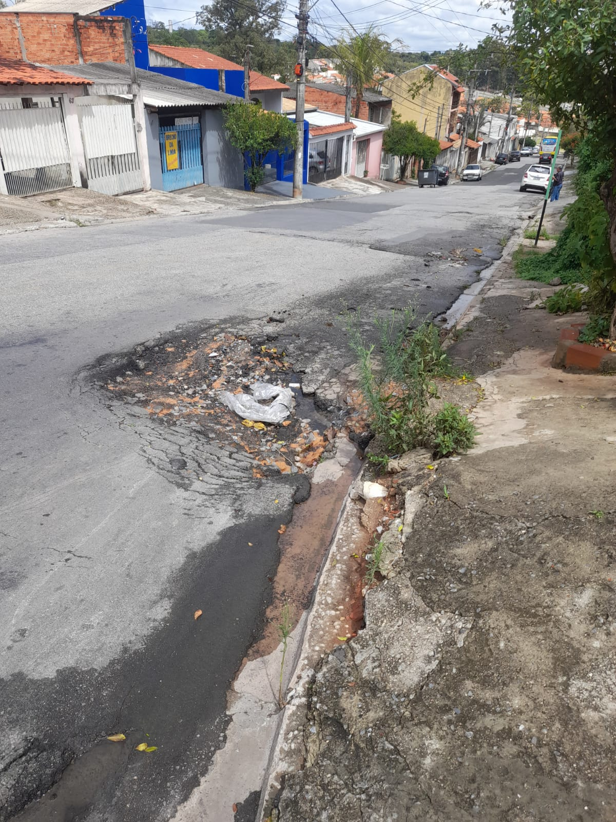 Imagem 1 da denúncia #VS-2026-36664