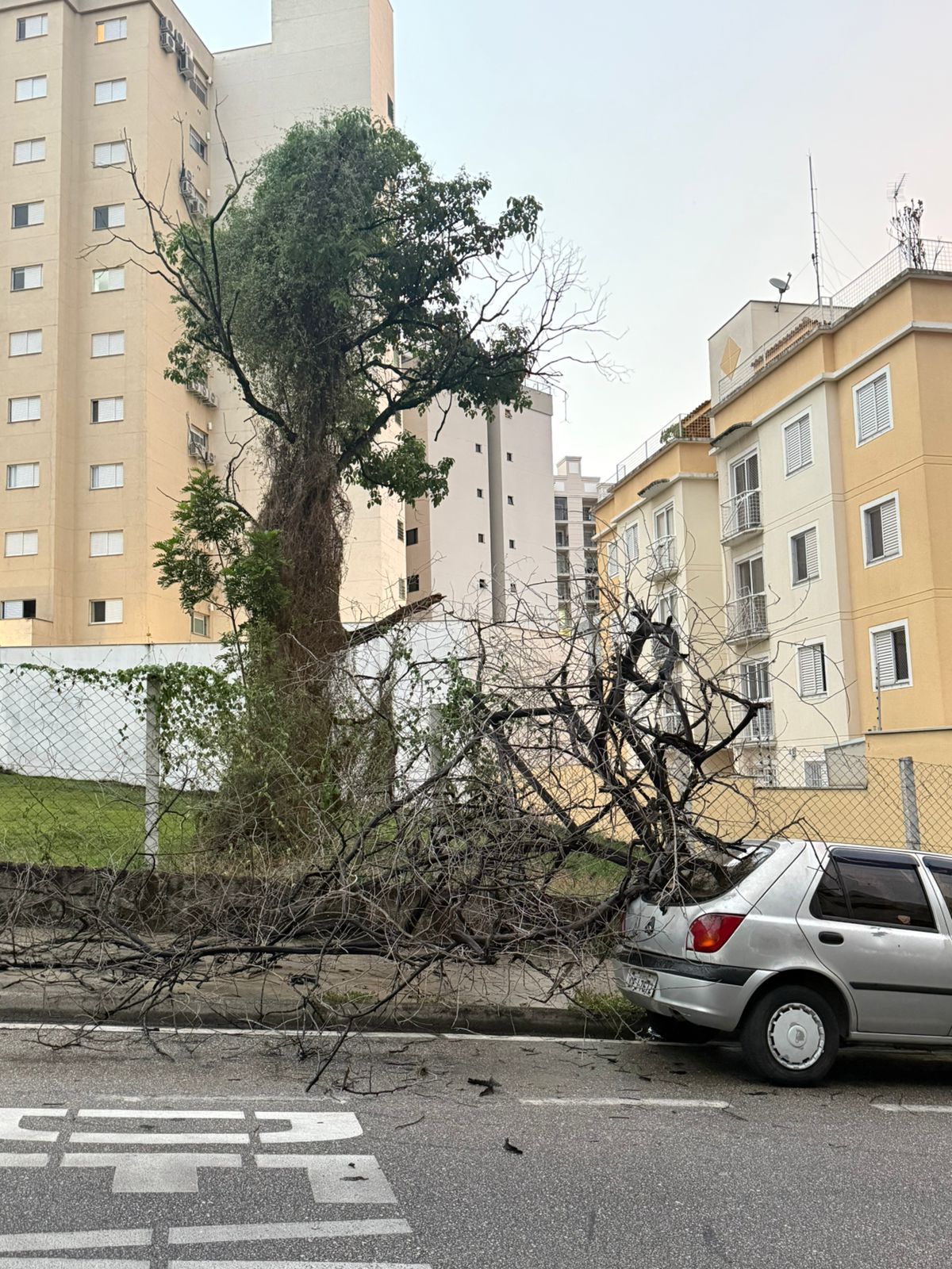 Imagem 1 da denúncia #VS-2026-37018