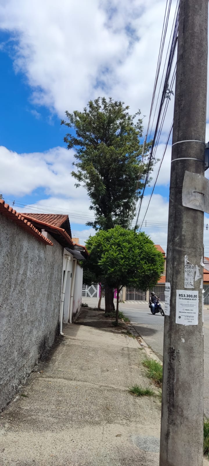 Imagem 1 da denúncia #VS-2026-37231