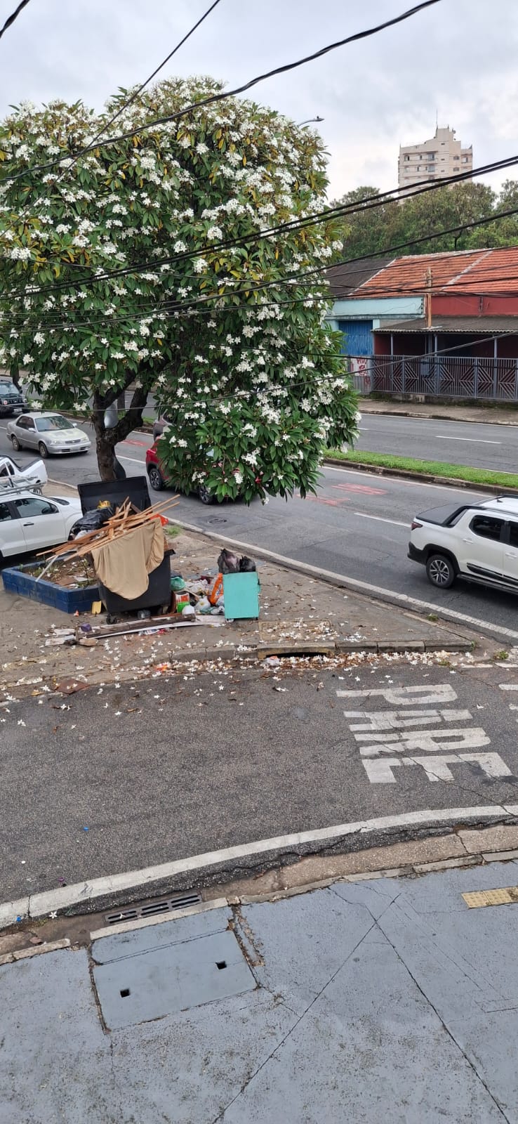 Imagem 1 da denúncia #VS-2026-38332