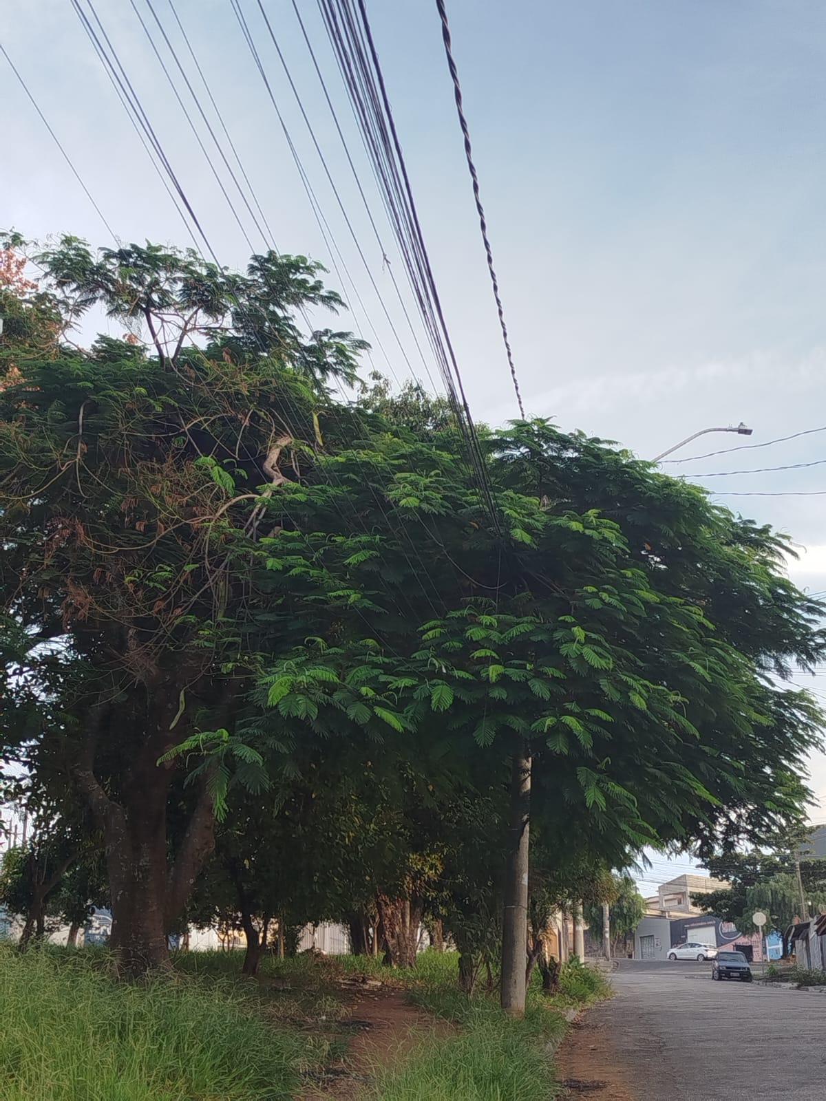 Imagem 1 da denúncia #VS-2026-40485