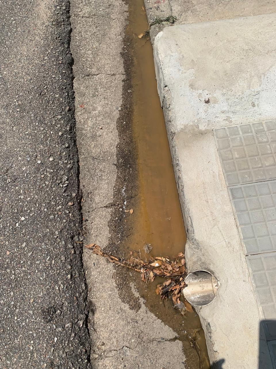Imagem 1 da denúncia #VS-2026-41096