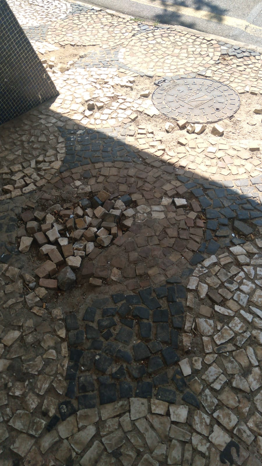 Imagem 1 da denúncia #VS-2026-41371