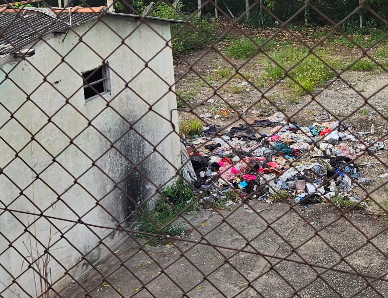 Imagem 7 da denúncia #VS-2026-41811