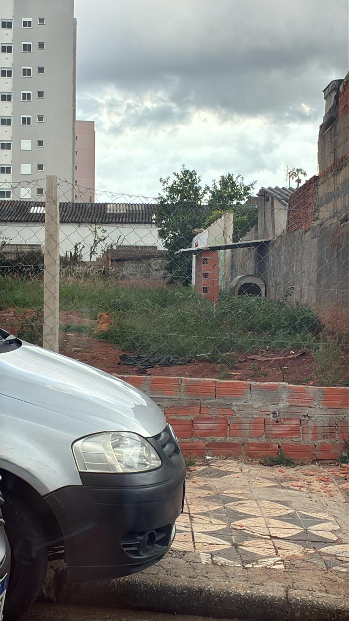 Imagem 1 da denúncia #VS-2026-42498
