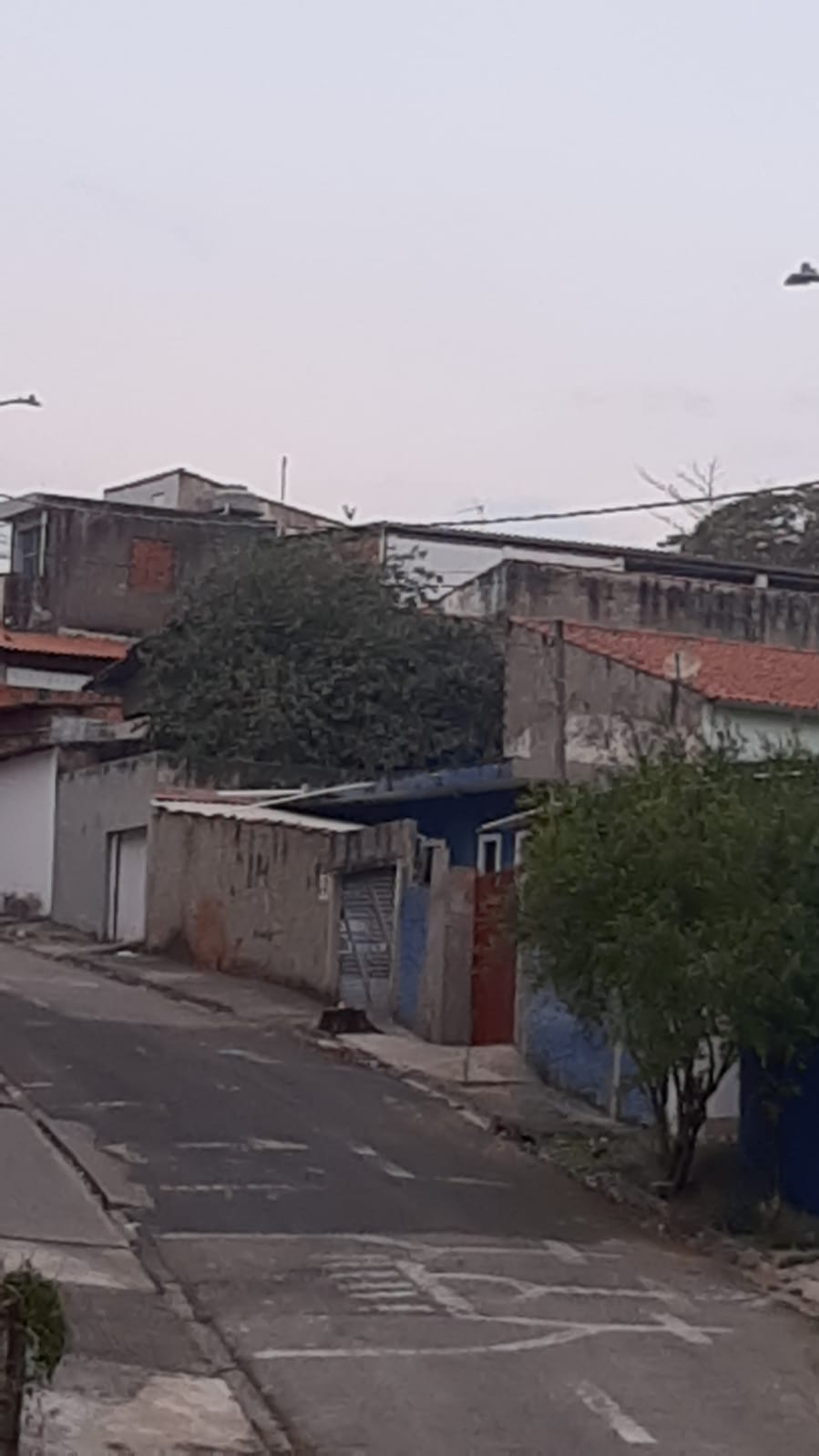 Imagem 1 da denúncia #VS-2026-43761