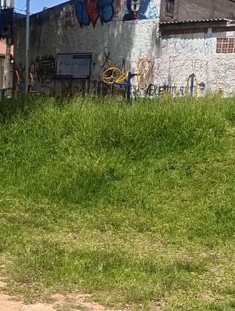 Imagem 1 da denúncia #VS-2026-44491