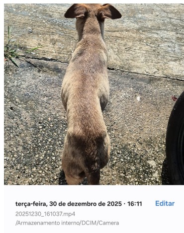 Imagem 1 da denúncia #VS-2026-44717