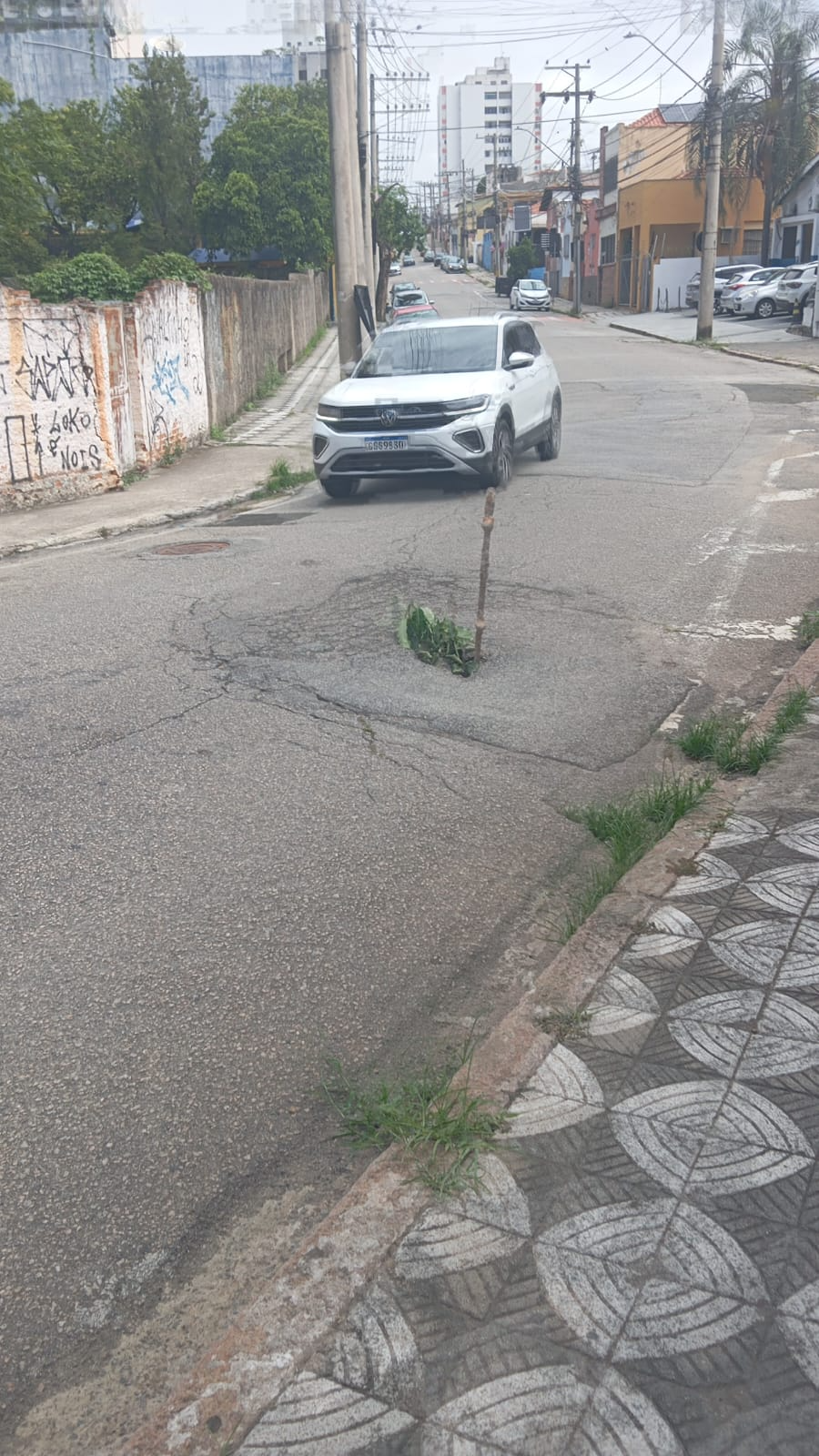 Imagem 1 da denúncia #VS-2026-45221