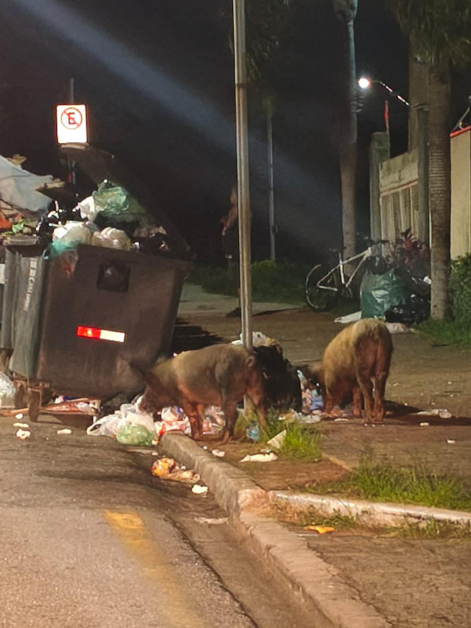 Imagem 1 da denúncia #VS-2026-45730
